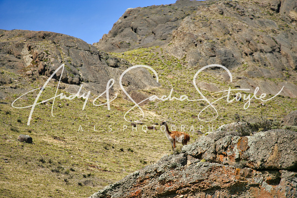 01 TorresDelPaine031