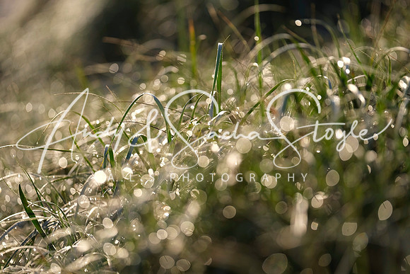 05TomareeNatParkOneMileBeach07