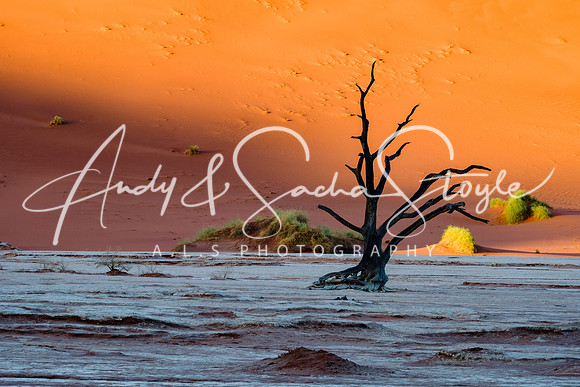 19Deadvlei01