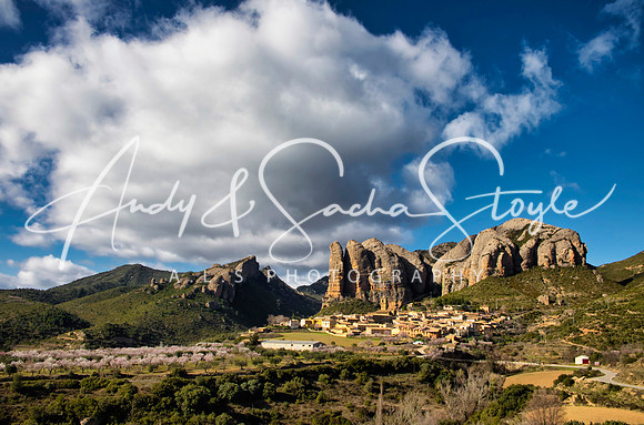 Aragon17
