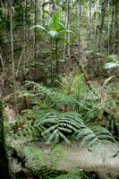 03-FraserIsland01