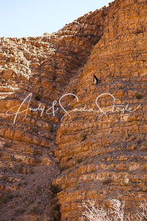 Dades Gorge 031
