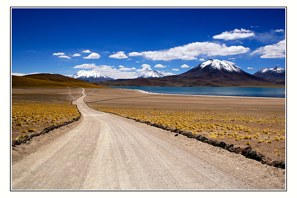 Chile Laguna Miscanti Atacama Norte Grande05