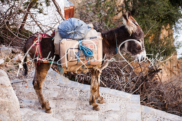 Chefchaouen 076