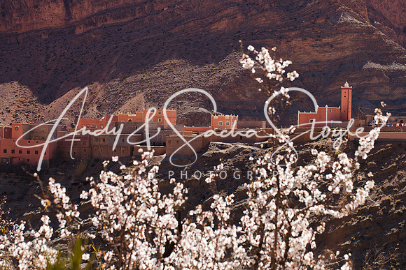 Dades Gorge 041