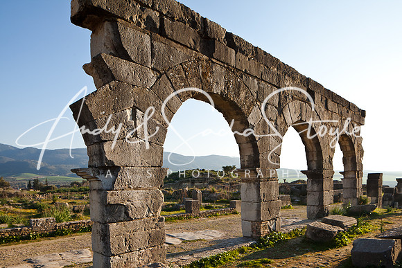 Volubilis 023