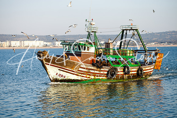 Essaouira 048