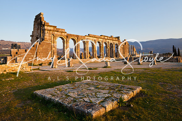 Volubilis 068
