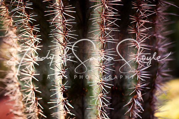 Marrakech 169-Edit