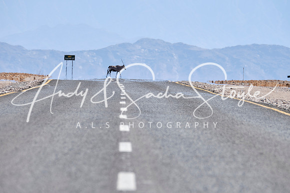 18Sossusvlei28