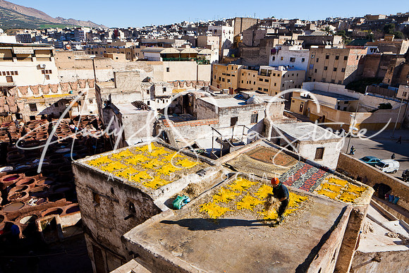Fes 056