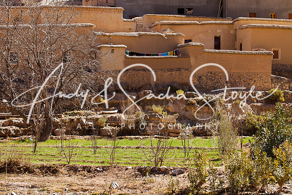 Dades Gorge 046