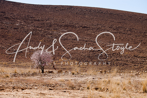 Tafraoute 004