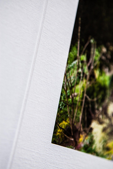 Jorgenson Traditional Album 06