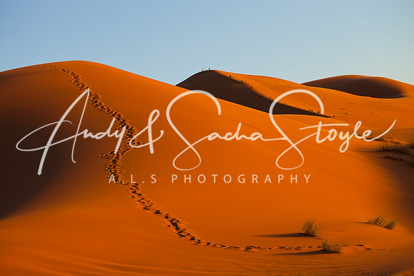 Merzouga 167