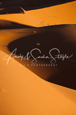 Merzouga 137