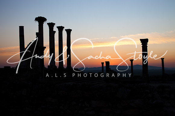 Volubilis 106