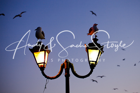 Essaouira 157