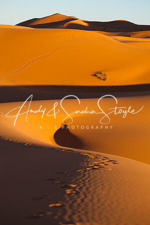Merzouga 149