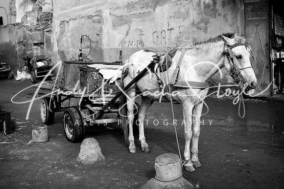 Marrakech 161-Edit