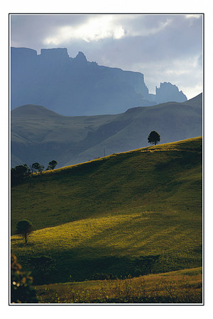 084 Cathedral Peak - Drakensberg Mountains
