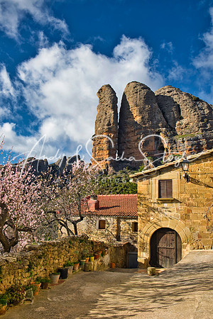 Aragon20