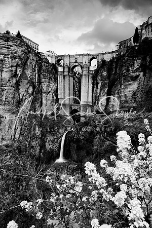 Ronda 028
