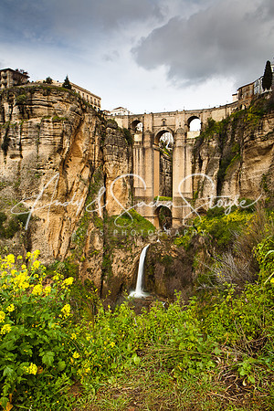 Ronda 017