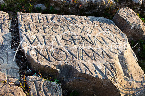 Volubilis 057