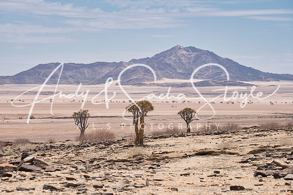 16Namib-Naukluft03